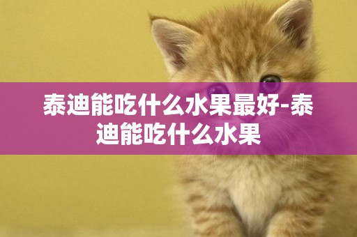 泰迪能吃什么水果最好-泰迪能吃什么水果