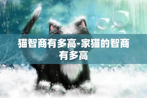 貓智商有多高-家貓的智商有多高