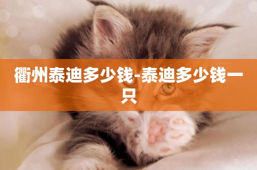 衢州泰迪多少錢-泰迪多少錢一只