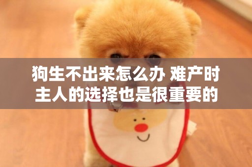 狗生不出來怎么辦 難產時主人的選擇也是很重要的 狗生不出來怎么辦 難產時主人的選擇也是很重要的