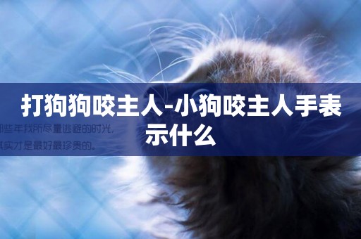 打狗狗咬主人-小狗咬主人手表示什么