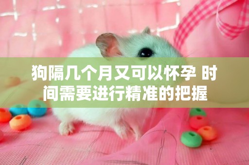 狗隔幾個月又可以懷孕 時間需要進行精準的把握