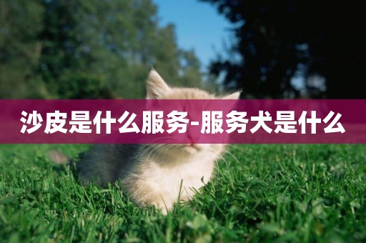 沙皮是什么服務-服務犬是什么