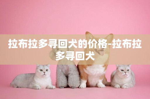 拉布拉多尋回犬的價格-拉布拉多尋回犬