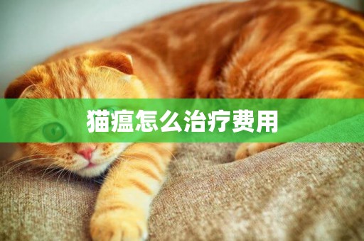 貓瘟怎么治療費用