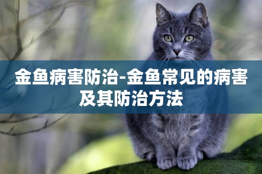 金魚病害防治-金魚常見的病害及其防治方法