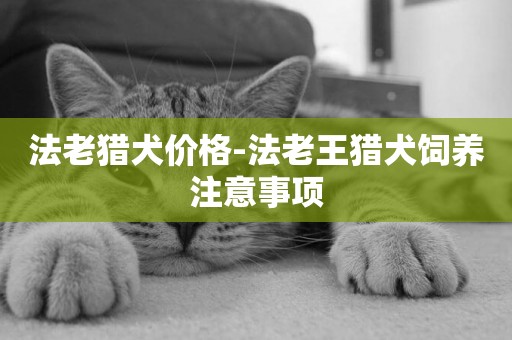 法老獵犬價格-法老王獵犬飼養注意事項
