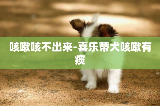 咳嗽咳不出來-喜樂蒂犬咳嗽有痰