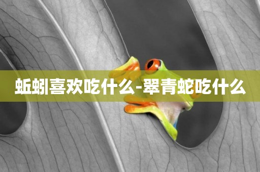 蚯蚓喜歡吃什么-翠青蛇吃什么