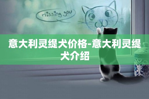 意大利靈緹犬價格-意大利靈緹犬介紹