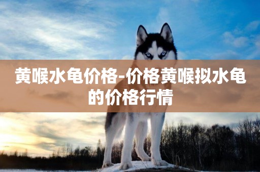 黃喉水龜價格-價格黃喉擬水龜的價格行情
