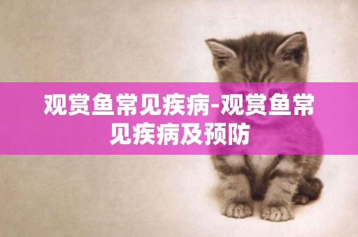 觀賞魚常見疾病-觀賞魚常見疾病及預防