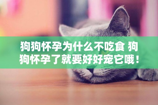 狗狗懷孕為什么不吃食 狗狗懷孕了就要好好寵它哦！