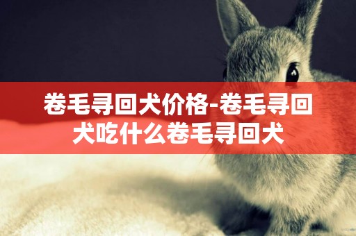 卷毛尋回犬價格-卷毛尋回犬吃什么卷毛尋回犬