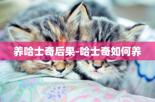 養哈士奇后果-哈士奇如何養