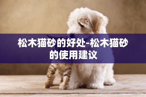 松木貓砂的好處-松木貓砂的使用建議