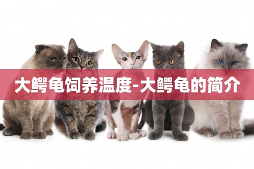 大鱷龜飼養溫度-大鱷龜的簡介