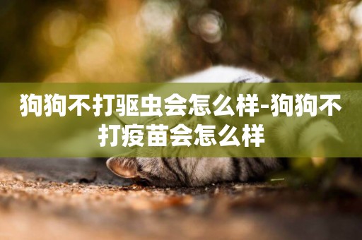 狗狗不打驅蟲會怎么樣-狗狗不打疫苗會怎么樣