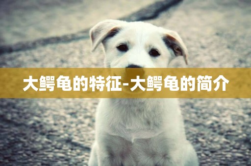 大鱷龜的特征-大鱷龜的簡介