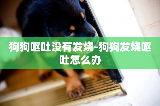 狗狗嘔吐沒有發燒-狗狗發燒嘔吐怎么辦
