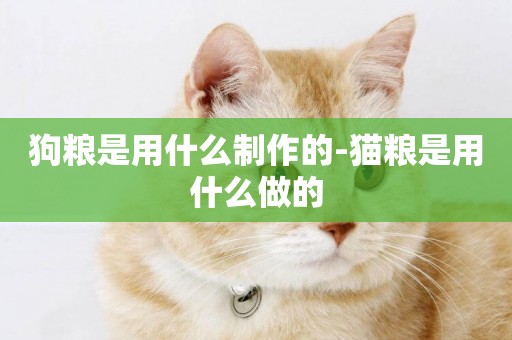 狗糧是用什么制作的-貓糧是用什么做的