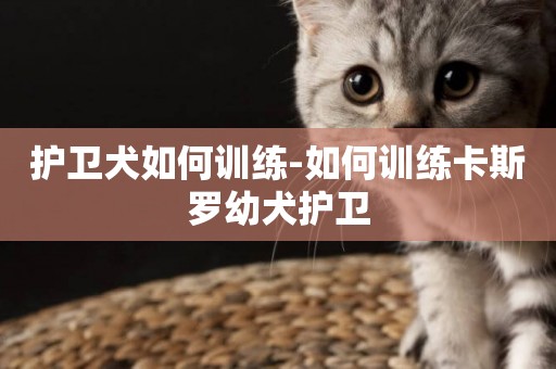 護衛犬如何訓練-如何訓練卡斯羅幼犬護衛