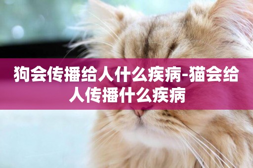 狗會傳播給人什么疾病-貓會給人傳播什么疾病