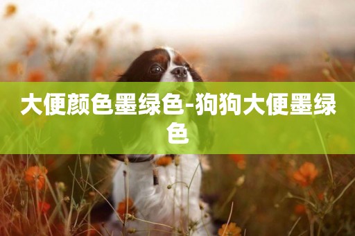 大便顏色墨綠色-狗狗大便墨綠色