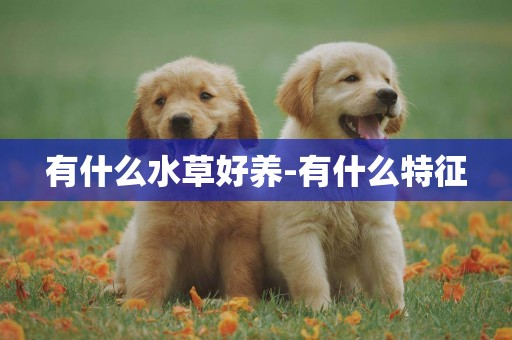有什么水草好養-有什么特征