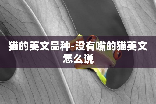 貓的英文品種-沒有嘴的貓英文怎么說