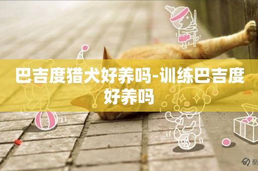 巴吉度獵犬好養嗎-訓練巴吉度好養嗎