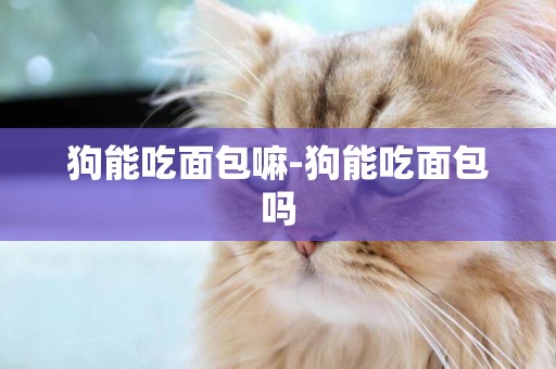 狗能吃面包嘛-狗能吃面包嗎