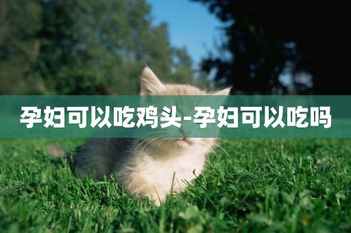 孕婦可以吃雞頭-孕婦可以吃嗎