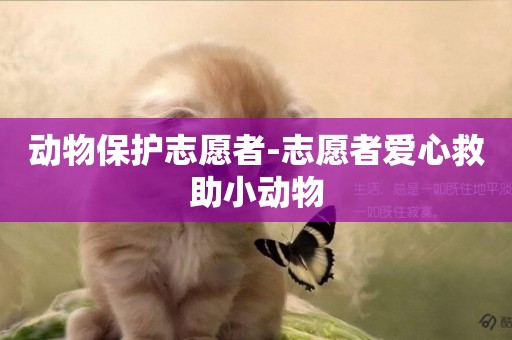 動物保護志愿者-志愿者愛心救助小動物