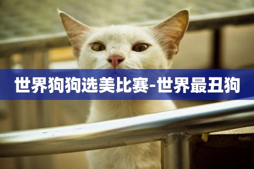 世界狗狗選美比賽-世界最丑狗
