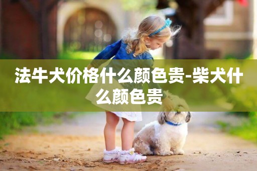 法牛犬價格什么顏色貴-柴犬什么顏色貴