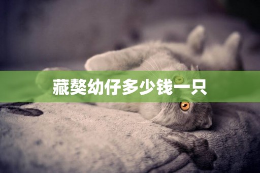 藏獒幼仔多少錢一只