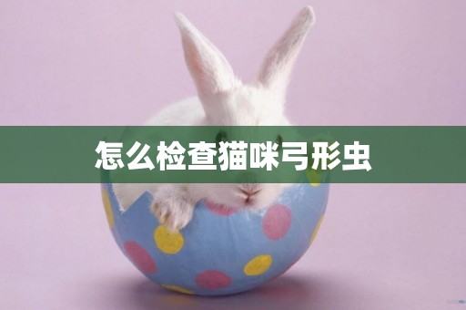 怎么檢查貓咪弓形蟲