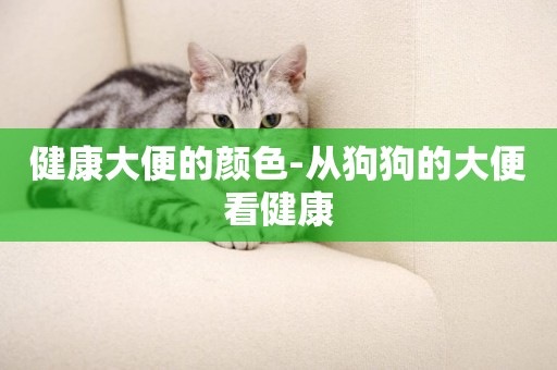 健康大便的顏色-從狗狗的大便看健康