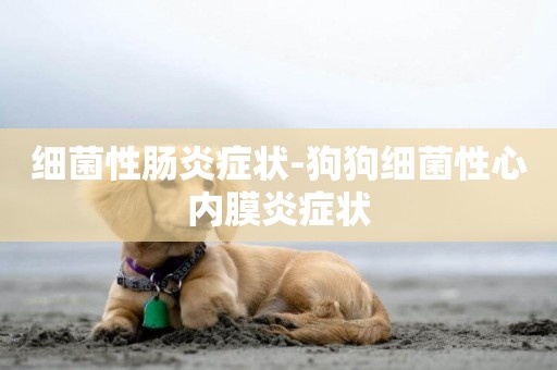 細菌性腸炎癥狀-狗狗細菌性心內膜炎癥狀