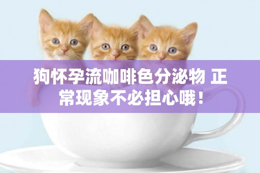 狗懷孕流咖啡色分泌物 正常現象不必擔心哦！
