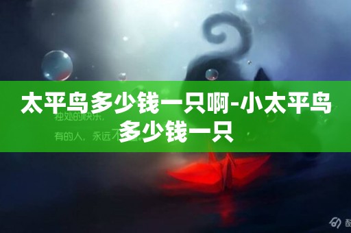 太平鳥多少錢一只啊-小太平鳥多少錢一只