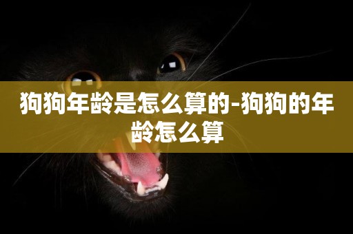 狗狗年齡是怎么算的-狗狗的年齡怎么算