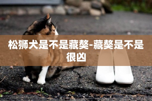 松獅犬是不是藏獒-藏獒是不是很兇