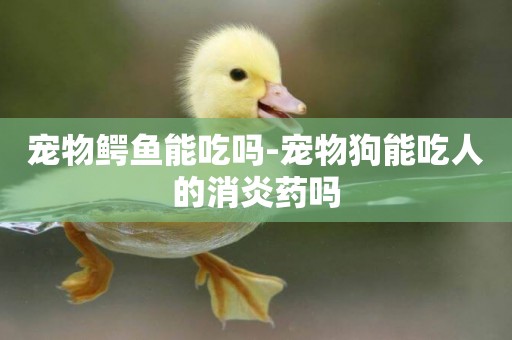 寵物鱷魚能吃嗎-寵物狗能吃人的消炎藥嗎