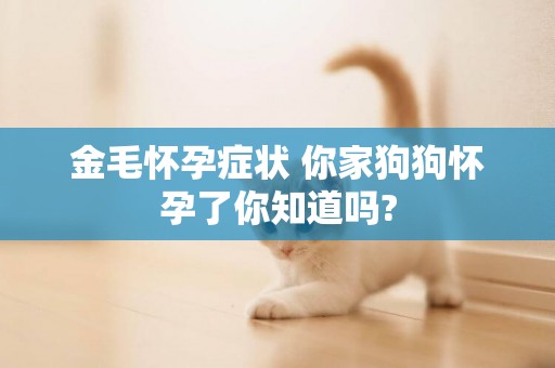 金毛懷孕癥狀 你家狗狗懷孕了你知道嗎?