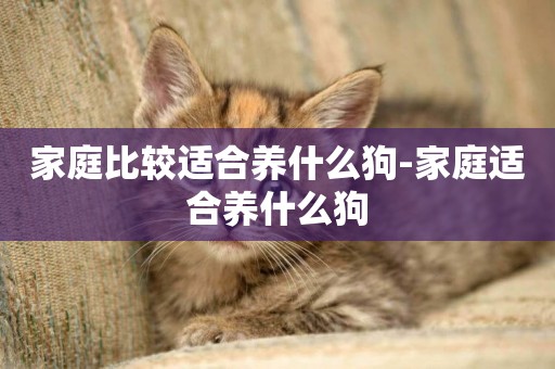 家庭比較適合養什么狗-家庭適合養什么狗
