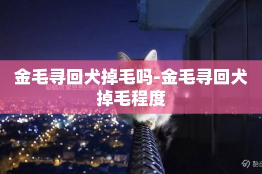 金毛尋回犬掉毛嗎-金毛尋回犬掉毛程度
