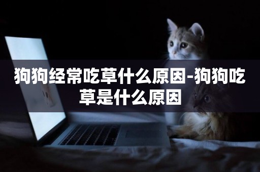狗狗經常吃草什么原因-狗狗吃草是什么原因