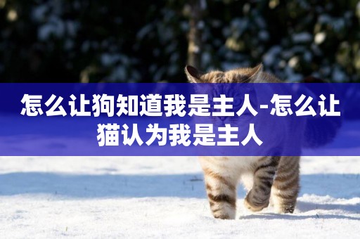 怎么讓狗知道我是主人-怎么讓貓認為我是主人